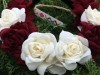 Ободок «Бордові та білі троянди»